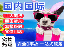 九江庐山机场邮寄国际宠物托运 【国